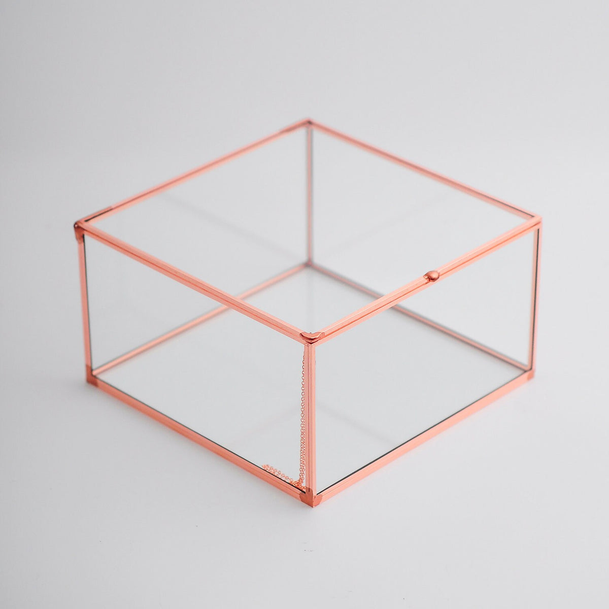 6x6x3" Display Case Glass Photo Box Copper Rose Card Customizable Personalizable Jewelry Wedding Bouquet Keepsake Organizer Christmas Gift