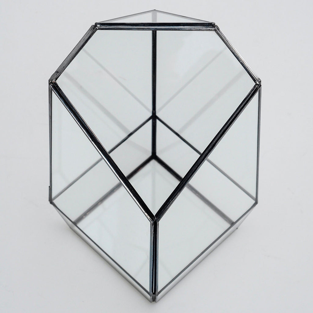 Geometric Terrarium Glass Black 10x5x5"