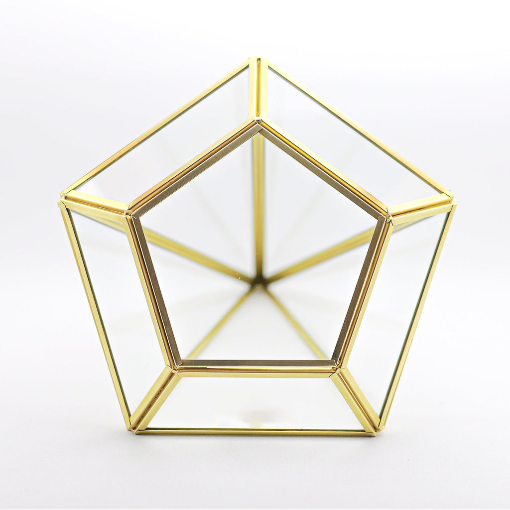 10x8x8" Brass Gold Terrarium Containers Geometric Glass Large For Plants Door Garden Succulents Wedding Decor Christmas Gift El Crea Designs