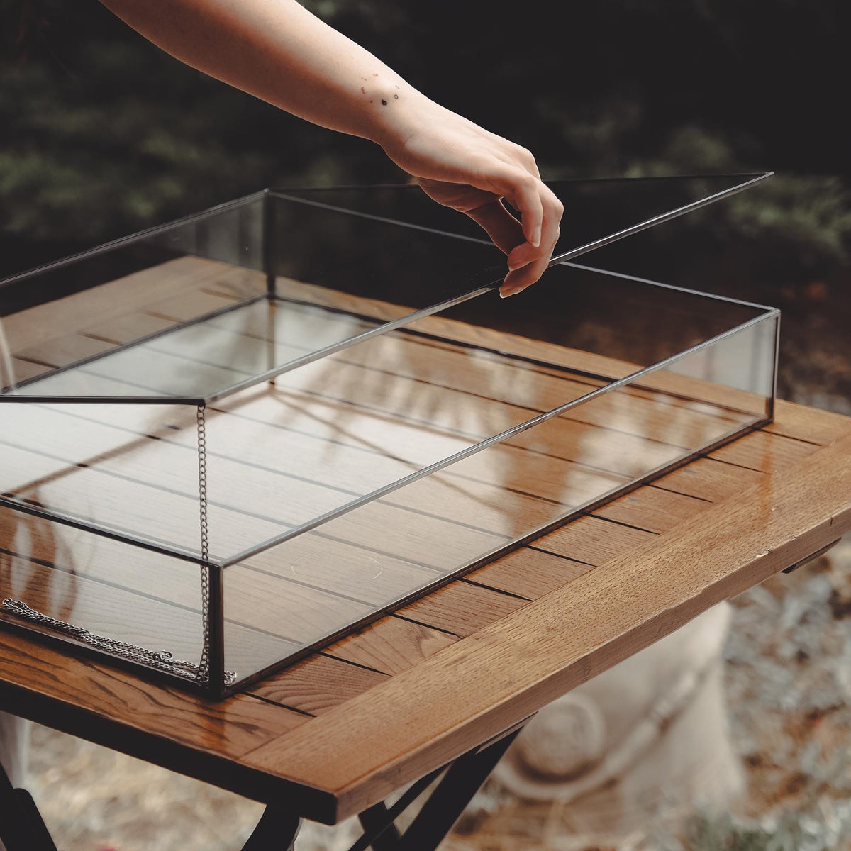 Jewelry Display Case | Glass Showcase Cabinet | Large Counter Stand | Black | Silver | Brass |  Necklace, Bracelet & Wedding Accessory Box