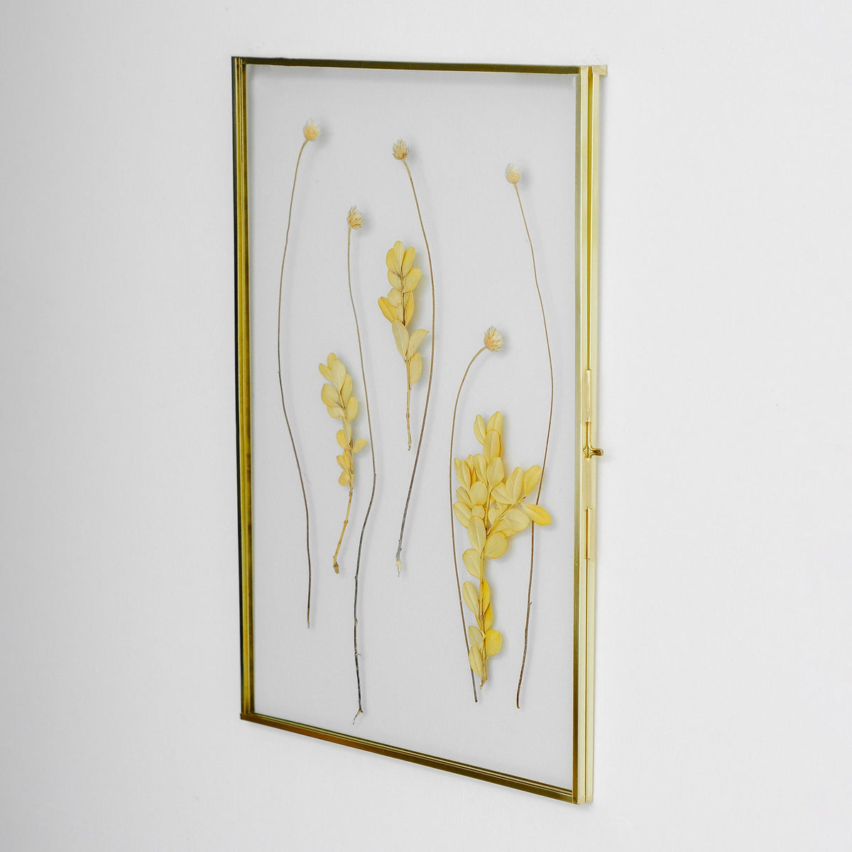 Floating Glass Frame Brass Gold Wall Hanging Photo Picture Double Bilderrahmen Vertical Pretty Perfect For Pressed Flower Arrangement