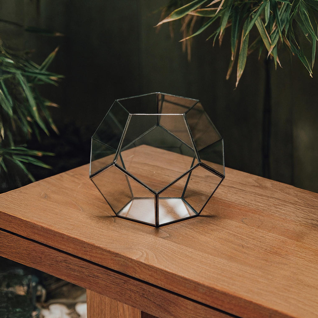 8x8x7" Black Terrarium Containers Geometric Glass Large For Plants Door Garden Succulents Wedding Decor Christmas Gift El Crea Designs