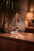 12x9x9" Copper Rose Terrarium Containers Geometric Glass Large For Plants Garden Succulents Wedding Decor Christmas Gift El Crea Designs