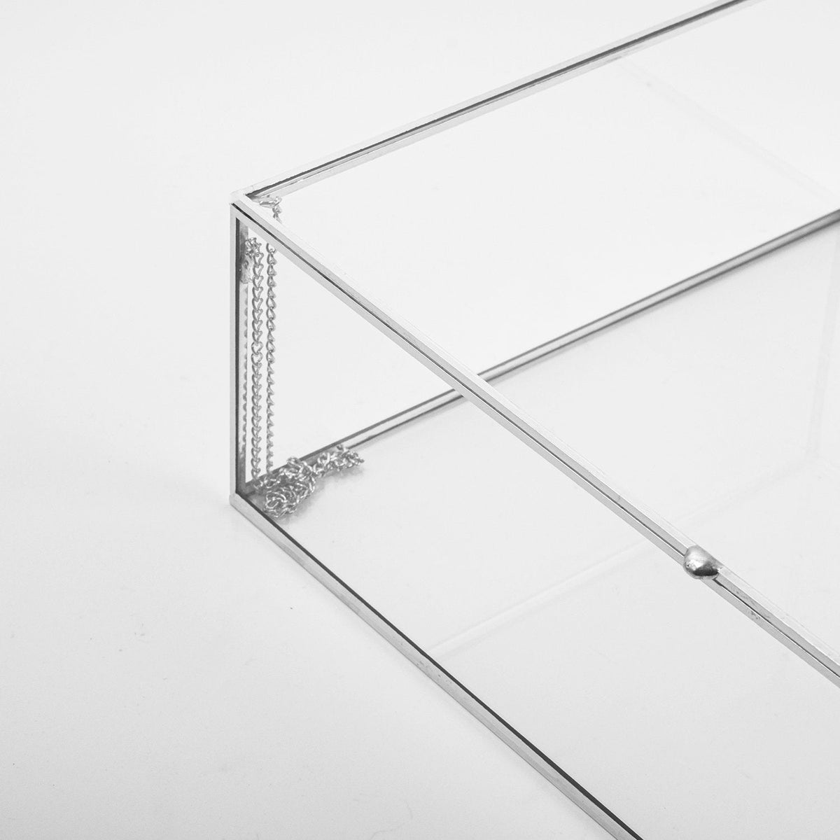 12x8x3" Display Case Glass Photo Box Silver Card Customizable Personalizable Jewelry Wedding Bouquet Keepsake Organizer Christmas Gift