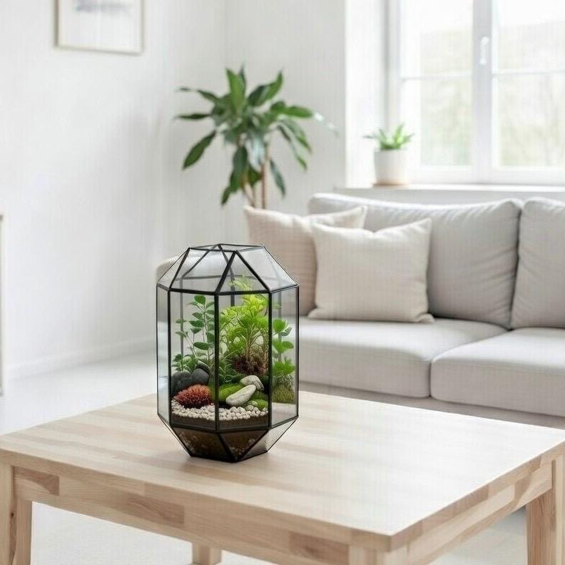 13x8x8" Black Terrarium Containers Geometric Glass Large For Plants Door Garden Succulents Wedding Decor Christmas Gift El Crea Designs