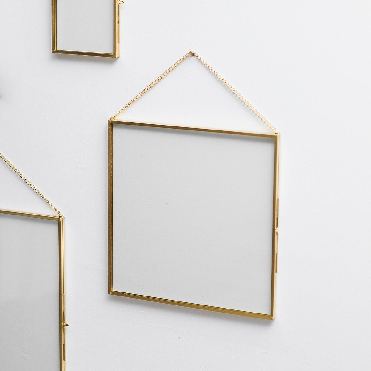 8x8” Floating Glass Frame Brass Gold Wall Hanging Photo Picture Double Bilderrahmen Vertical Pretty Perfect For Pressed Flower Arrangement