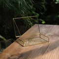 Glass Photo Box for Prints - 4x6 - 5x7 - 8x10 - Photo Storage Case