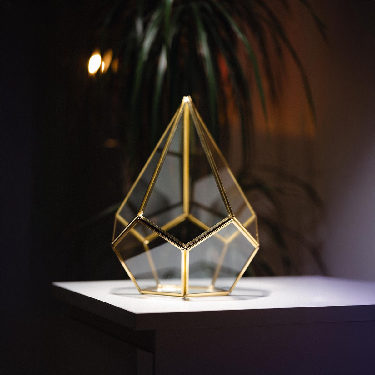 Geometric Glass Terrarium Container | Brass Gold Frame | Large Succulent Planter | Modern Home and Wedding Decor | Unique Gift Idea