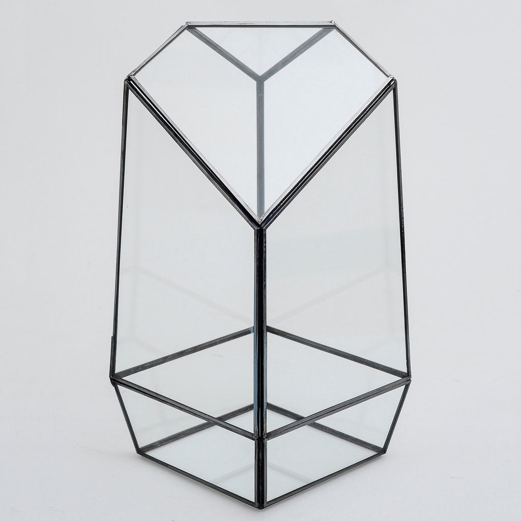 Geometric Terrarium Glass Black 10x5x5"