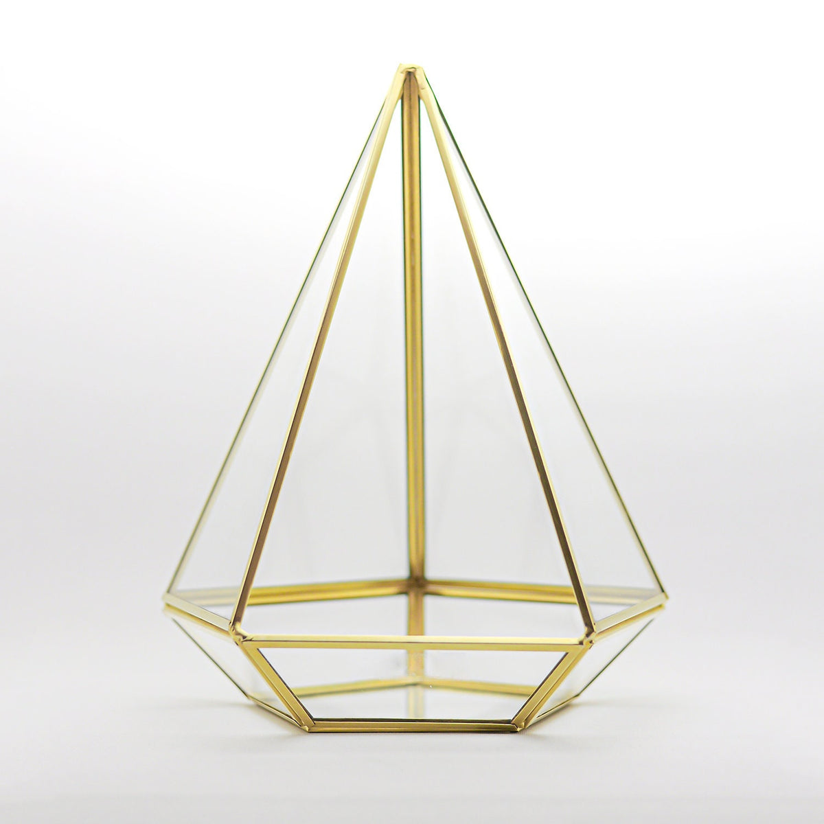 10x8x8" Brass Gold Terrarium Containers Geometric Glass Large For Plants Door Garden Succulents Wedding Decor Christmas Gift El Crea Designs