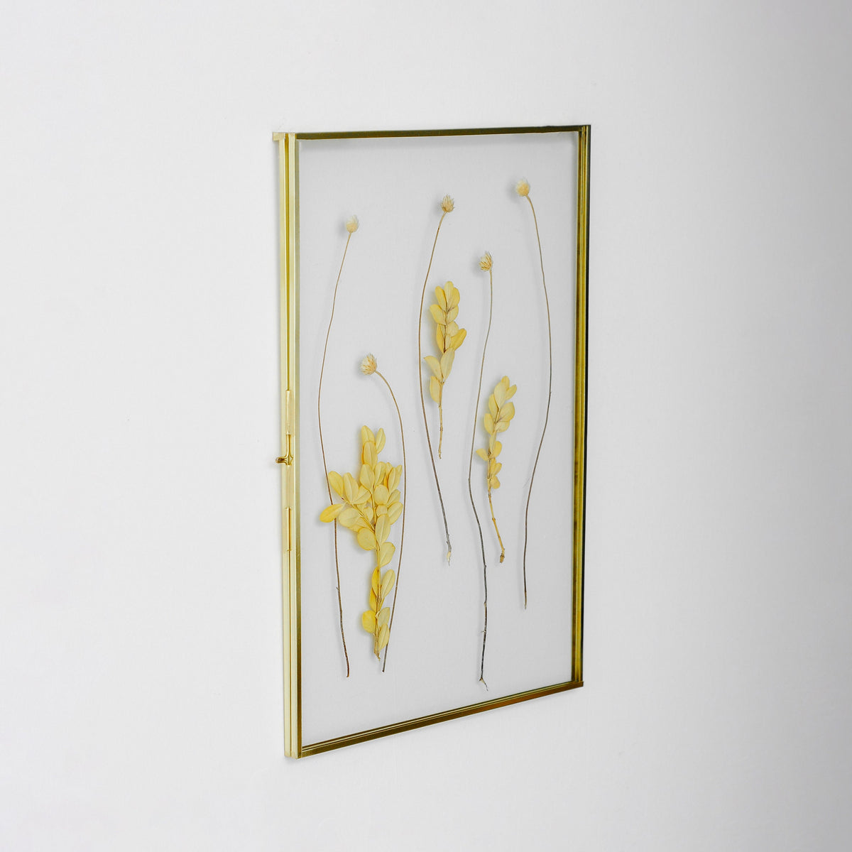 Floating Glass Frame Brass Gold Wall Hanging Photo Picture Double Bilderrahmen Vertical Pretty Perfect For Pressed Flower Arrangement