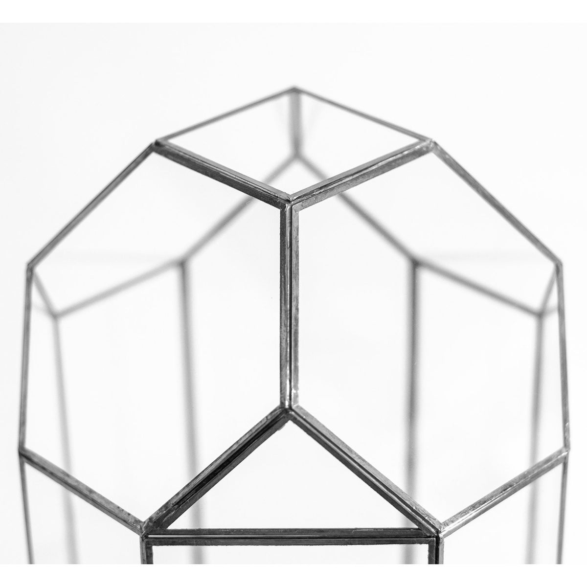 13x8x8" Black Terrarium Containers Geometric Glass Large For Plants Door Garden Succulents Wedding Decor Christmas Gift El Crea Designs
