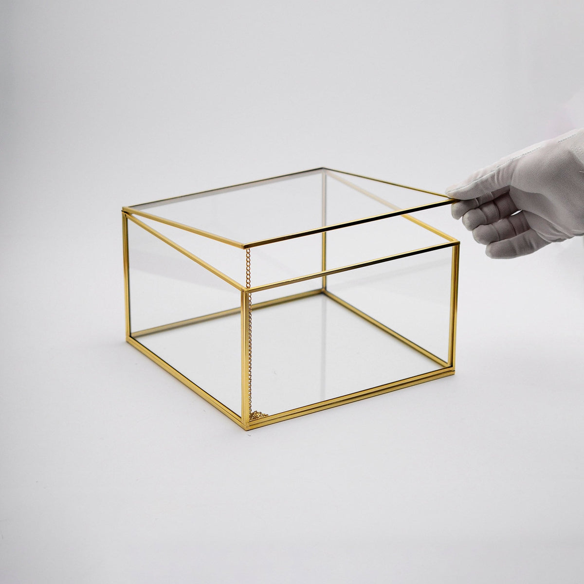 10x10x6" Display Case Glass Box Brass Gold Card Customizable Personalizable Jewelry Wedding Bouquet Keepsake Organizer