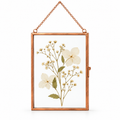 Copper floating glass frame with pressed flowers