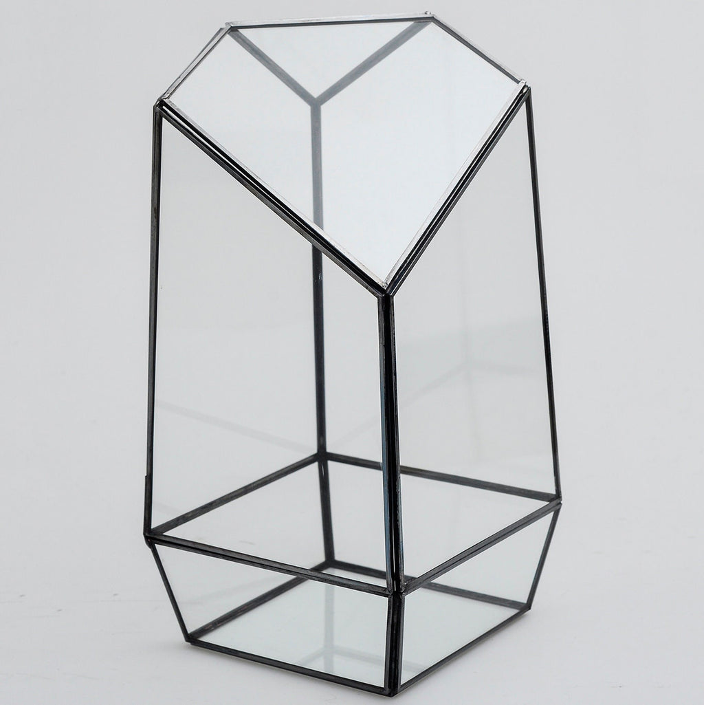 Geometric Terrarium Glass Black 10x5x5"