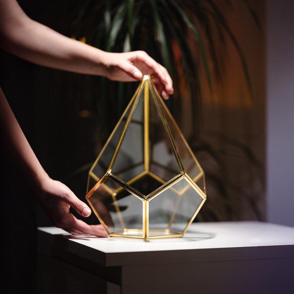 Geometric Glass Terrarium Container | Brass Gold Frame | Large Succulent Planter | Modern Home and Wedding Decor | Unique Gift Idea