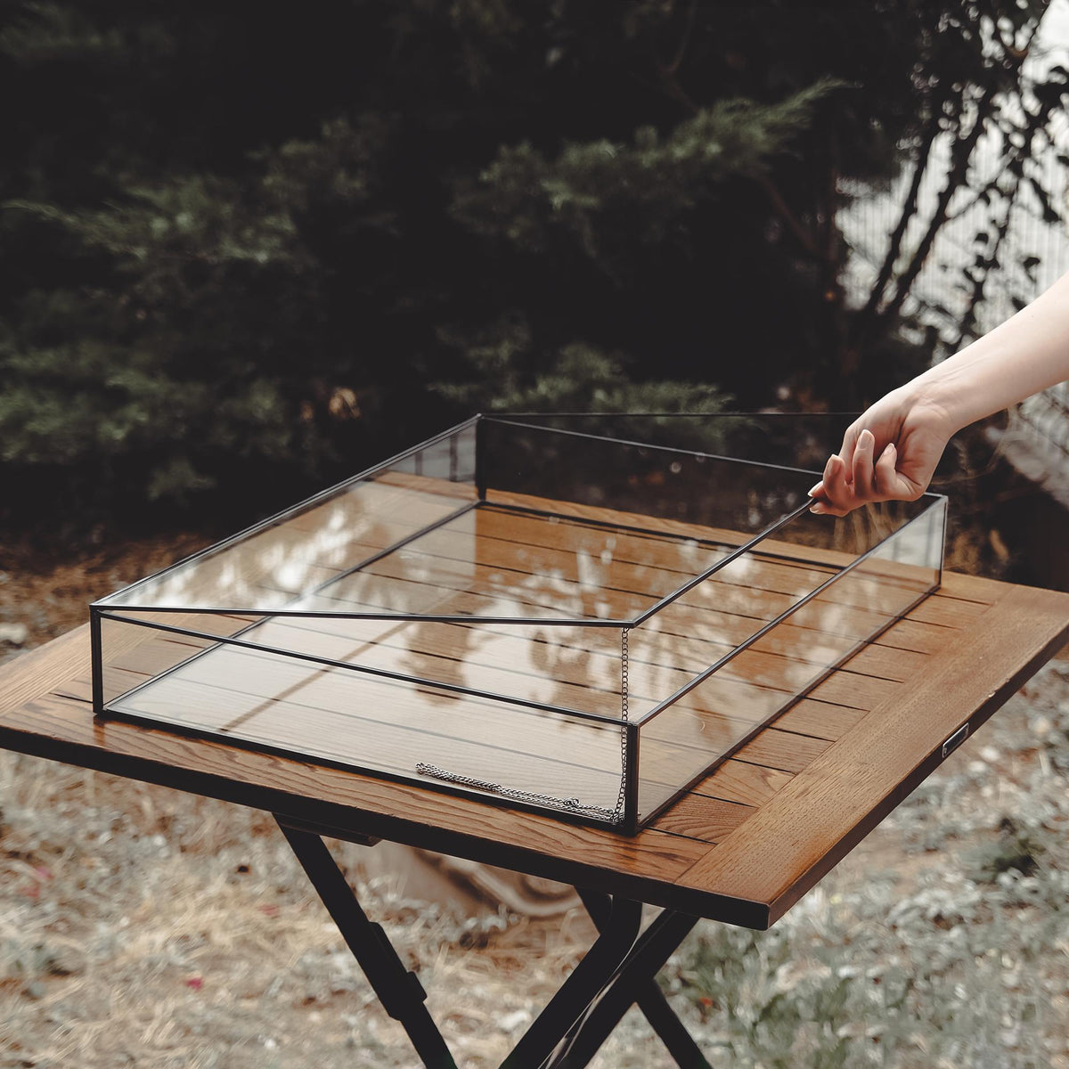 Jewelry Display Case | Glass Showcase Cabinet | Large Counter Stand | Black | Silver | Brass |  Necklace, Bracelet & Wedding Accessory Box