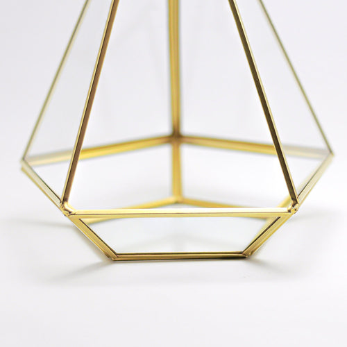 10x8x8" Brass Gold Terrarium Containers Geometric Glass Large For Plants Door Garden Succulents Wedding Decor Christmas Gift El Crea Designs