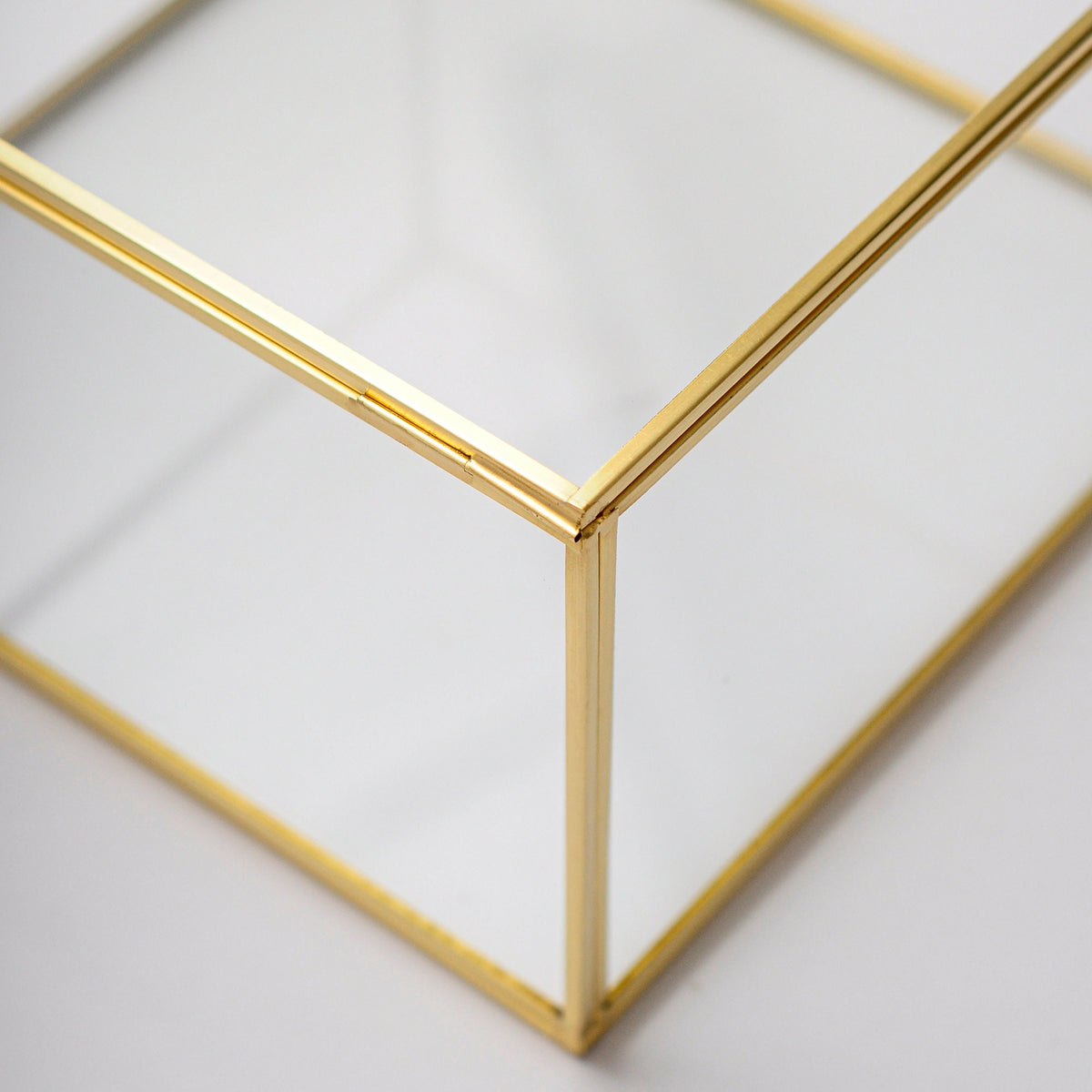 10x10x6" Display Case Glass Box Brass Gold Card Customizable Personalizable Jewelry Wedding Bouquet Keepsake Organizer