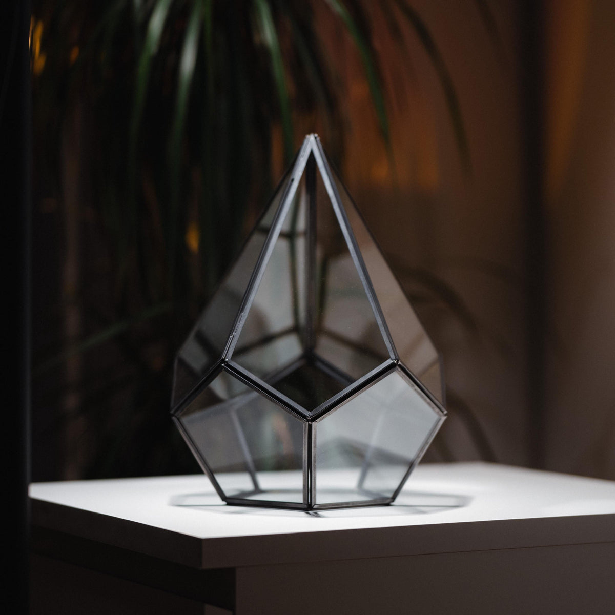 Glass Terrarium | Geometric | Large | Wedding Centerpiece | Card Box | Table Decor | Modern Vase | Container | Black Anthracite
