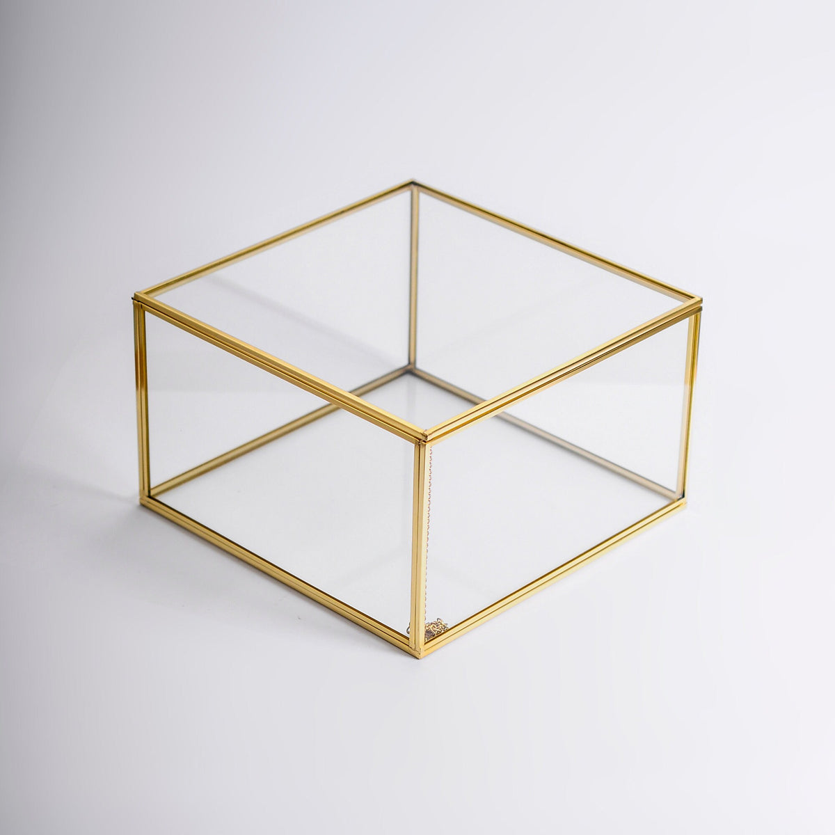 10x10x6" Display Case Glass Box Brass Gold Card Customizable Personalizable Jewelry Wedding Bouquet Keepsake Organizer