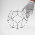 8.5x8.5x7" Silver Terrarium Containers Geometric Glass Large For Plants Door Garden Succulents Wedding Decor Christmas Gift El Crea Designs