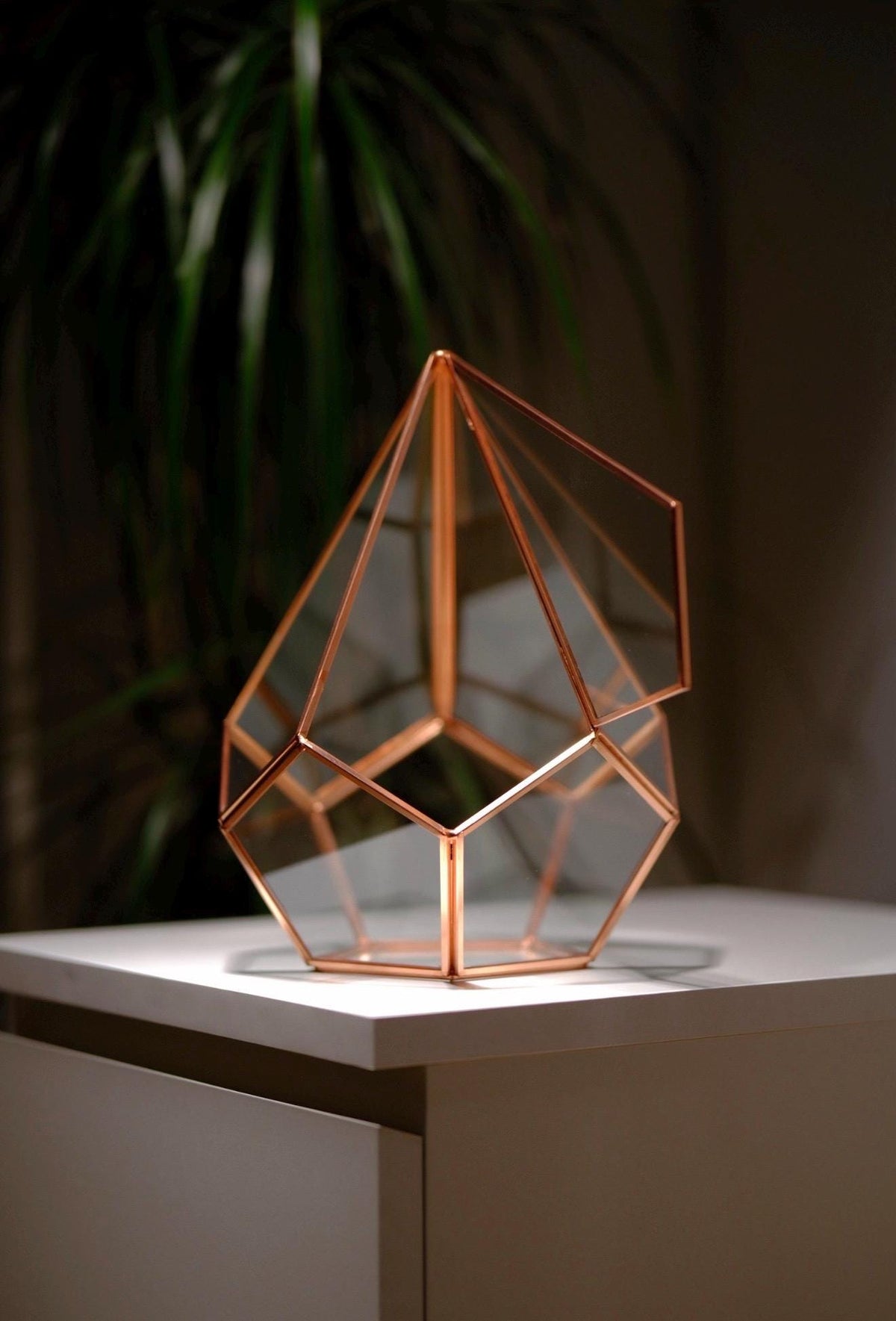 12x9x9" Copper Rose Terrarium Containers Geometric Glass Large For Plants Garden Succulents Wedding Decor Christmas Gift El Crea Designs