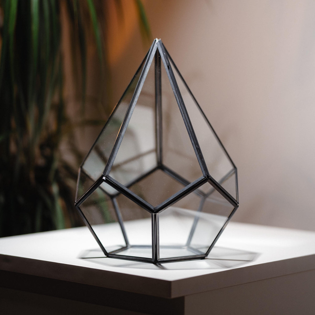 Glass Terrarium | Geometric | Large | Wedding Centerpiece | Card Box | Table Decor | Modern Vase | Container | Black Anthracite