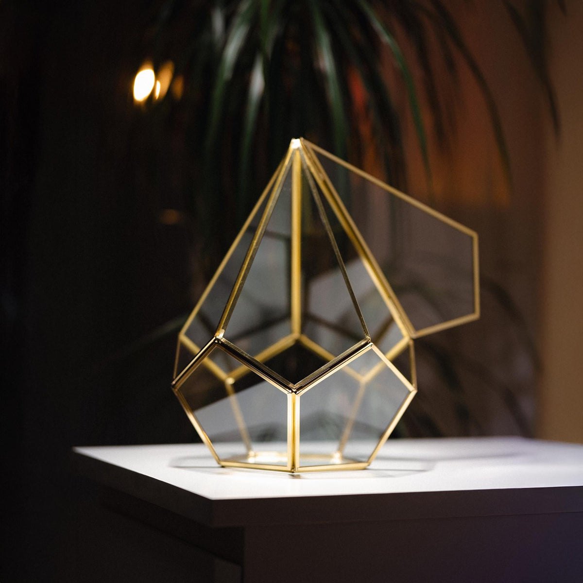 Geometric Glass Terrarium Container | Brass Gold Frame | Large Succulent Planter | Modern Home and Wedding Decor | Unique Gift Idea