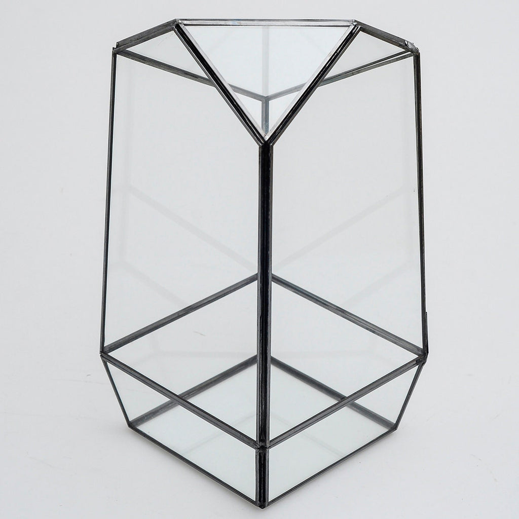 Geometric Terrarium Glass Black 10x5x5"