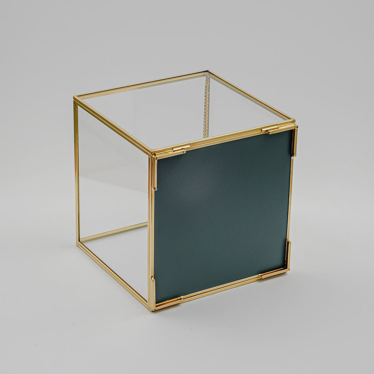 Wall Hanger Box Showcase Vitirin Display Case Glass Photo Brass Gold Card Customizable Personalizable Wedding Bouquet Keepsake Organizer